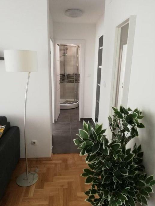 Apartments Ali Zagreb Extérieur photo